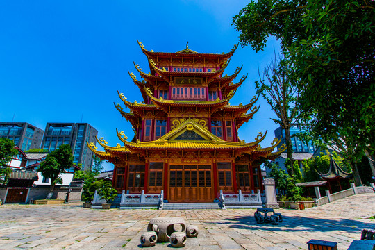 龍?zhí)端l(xiāng)