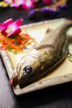 鮮活鱸魚