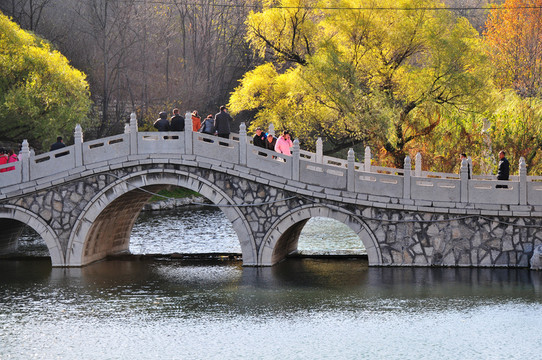 石橋