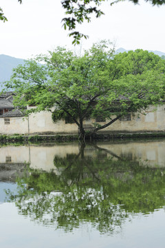 宏村