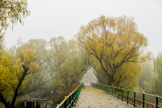 濕地公園
