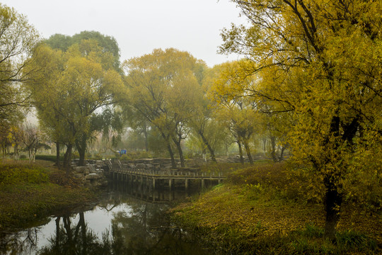 濕地公園