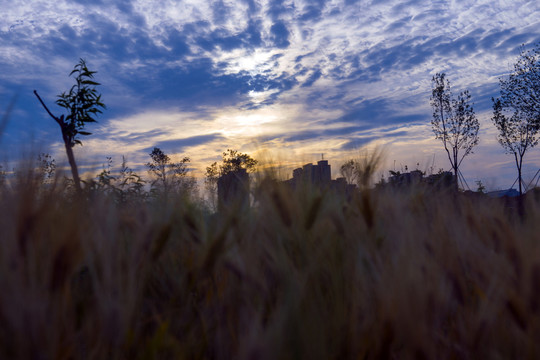 落日 夕陽(yáng) 余輝