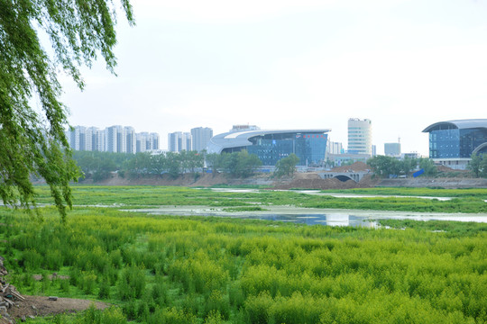 河岸建筑  沿河風(fēng)景