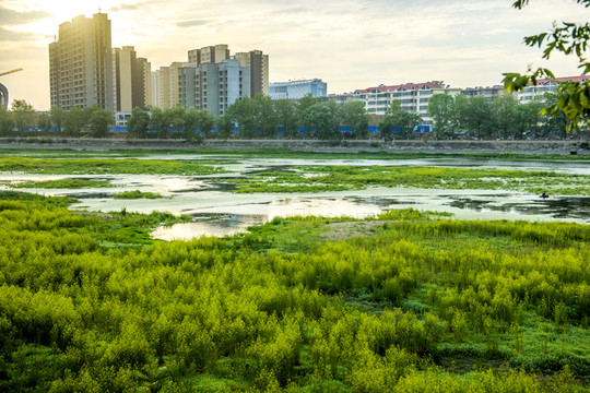 河岸建筑 沿河風(fēng)景
