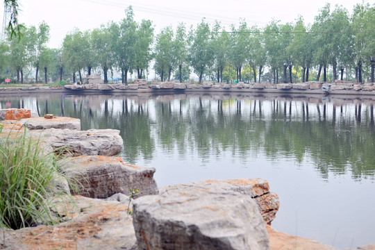河岸風(fēng)景 水塘 水池