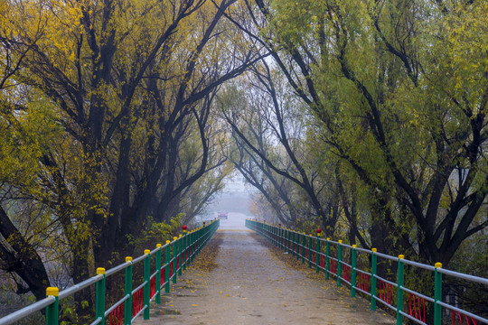 濕地公園