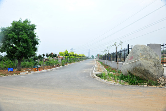 公園綠化 公園風(fēng)景 園林景觀
