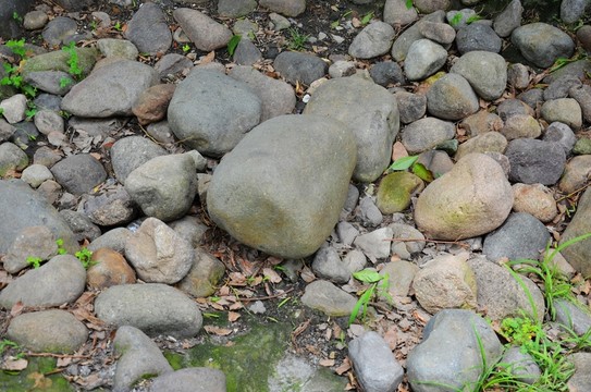 鵝卵石