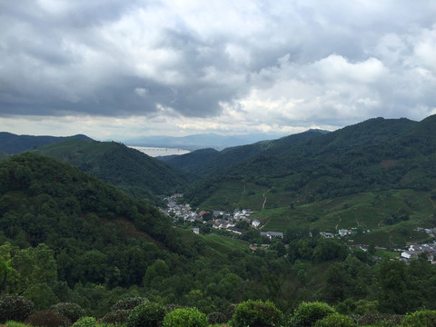 龍井村茶山