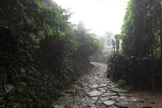 翁丁