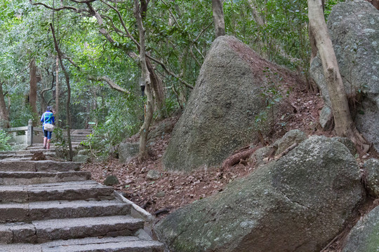 登山路