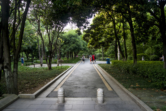 公園