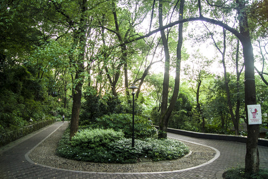 公園左右