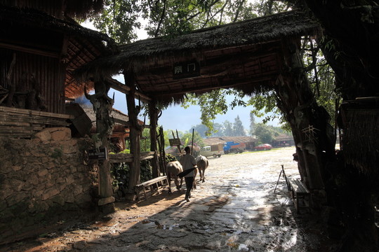 翁丁