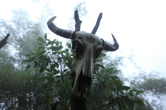 翁丁