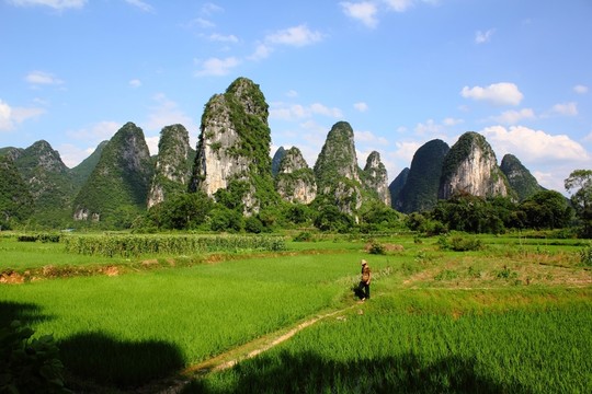 奇峰鎮(zhèn)風(fēng)光