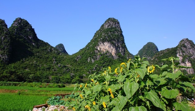 奇峰鎮(zhèn)