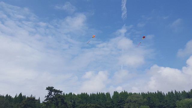 風箏 天空