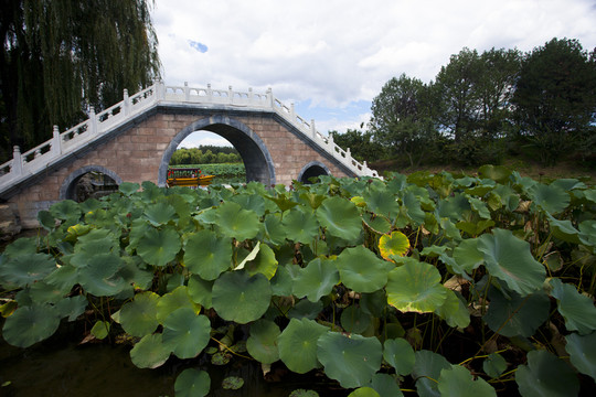 橋
