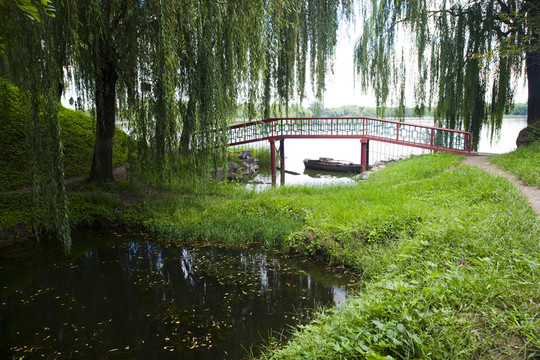 橋