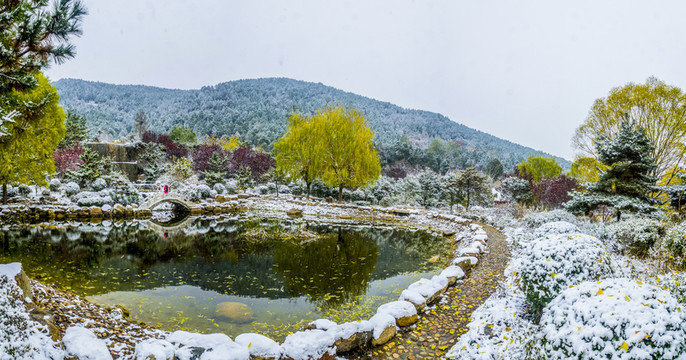 雪景