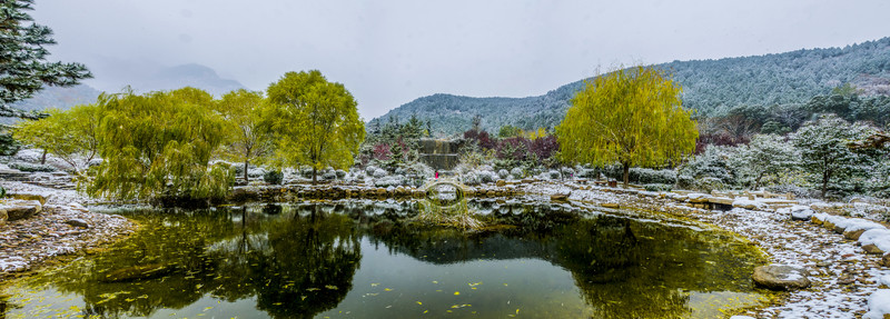 泰山雪景