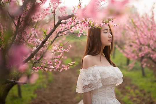 桃花盛開