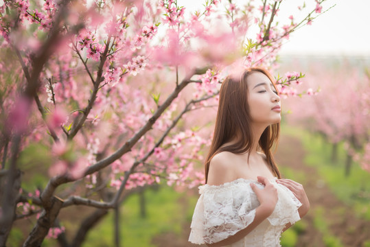 桃花盛開