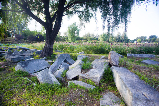 圓明園