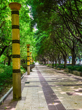 林蔭路