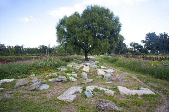 圓明園