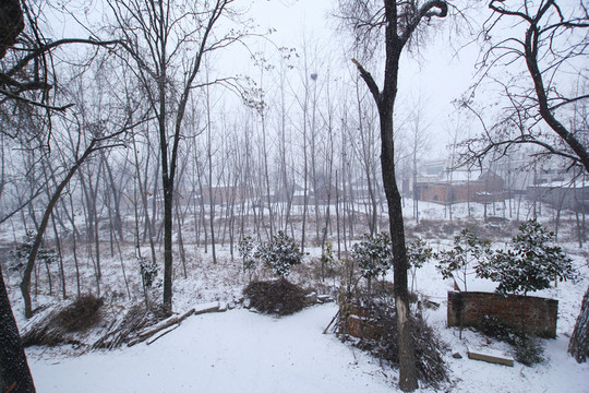 鄉(xiāng)村雪景 山村雪景 農(nóng)村雪景