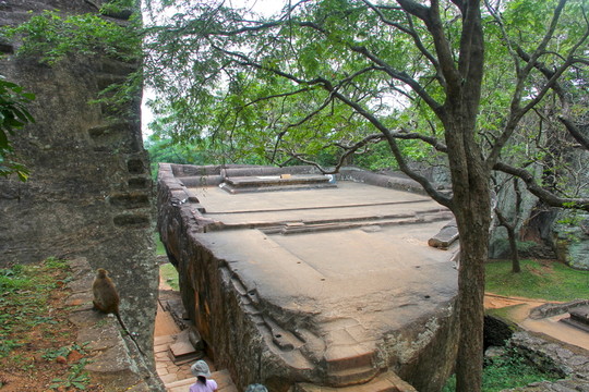斯里蘭卡