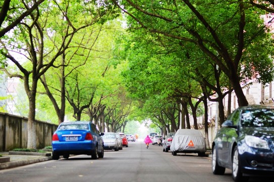 林蔭路