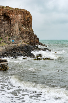 青海湖鳥島