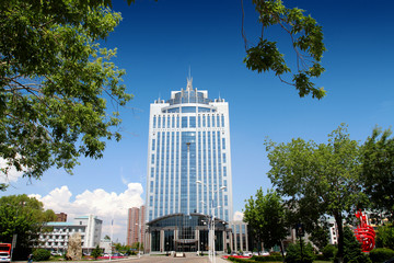 大慶 龍南 電業(yè)局 樓房 城市