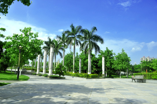 夏季園林景色