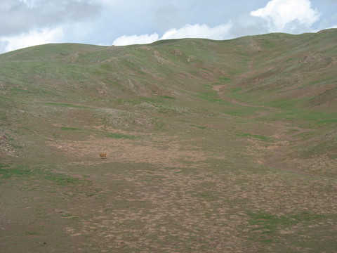山坡