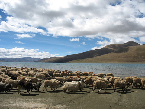 羊湖