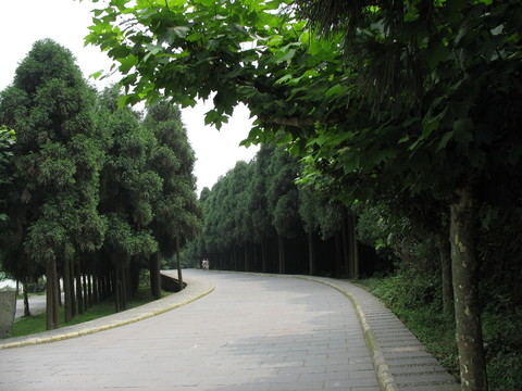 都江堰