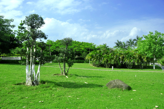 公園綠色地帶