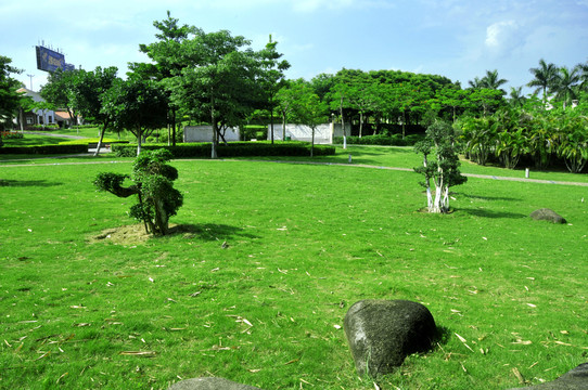 綠色休閑空間