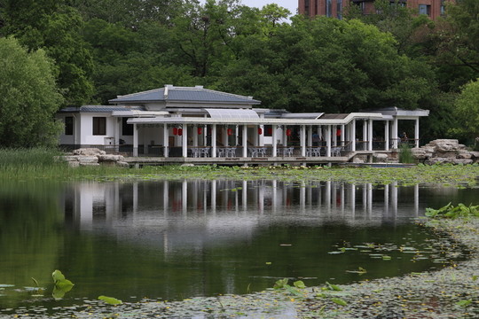 公園湖面的倒影