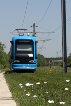 駛過花叢的有軌電車