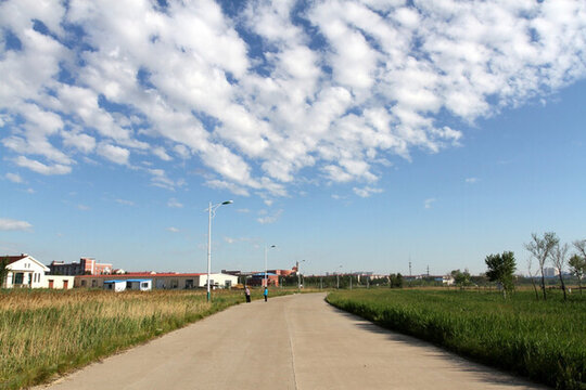 路 道路 公路 城市規(guī)劃