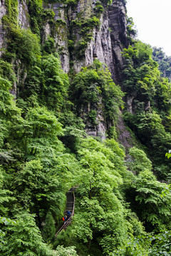 四川峨眉山登山道