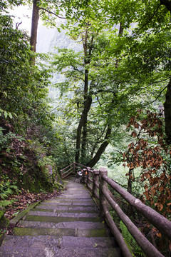 四川峨眉山山路