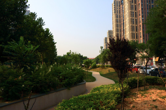 公園小路