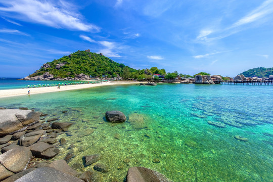 海島 南園島
